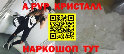 шишки Донской